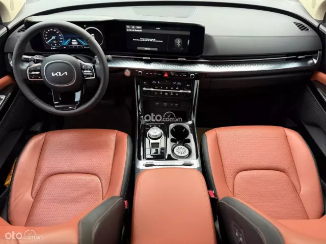 Kia Carnival 2.2D Signature 2023 13
