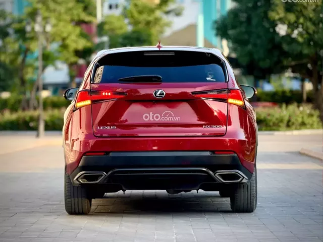 Lexus NX 300 T 2019 4