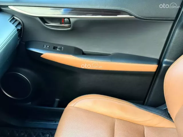 Lexus NX 300 T 2019 17