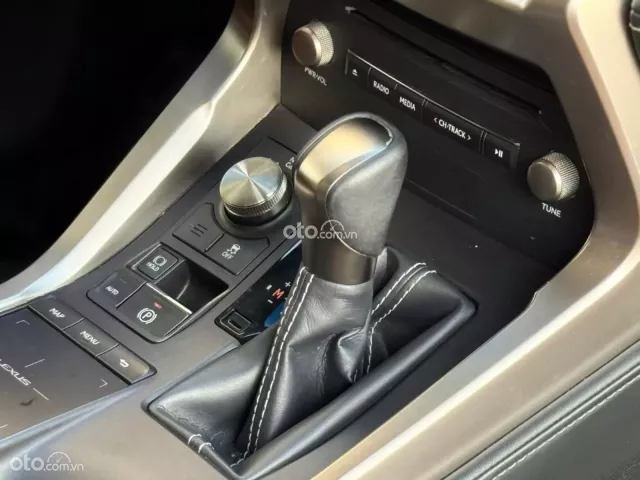 Lexus NX 300 T 2019 13
