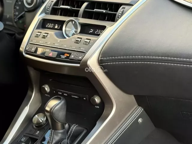 Lexus NX 300 T 2019 11