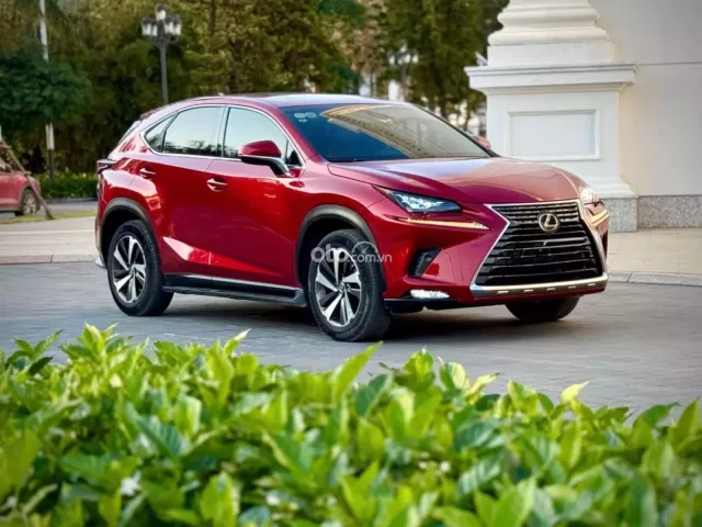 Lexus NX 300 T 2019 9