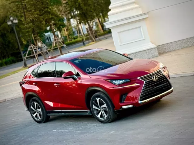 Lexus NX 300 T 2019 6