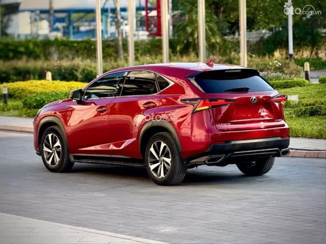Lexus NX 300 T 2019 8