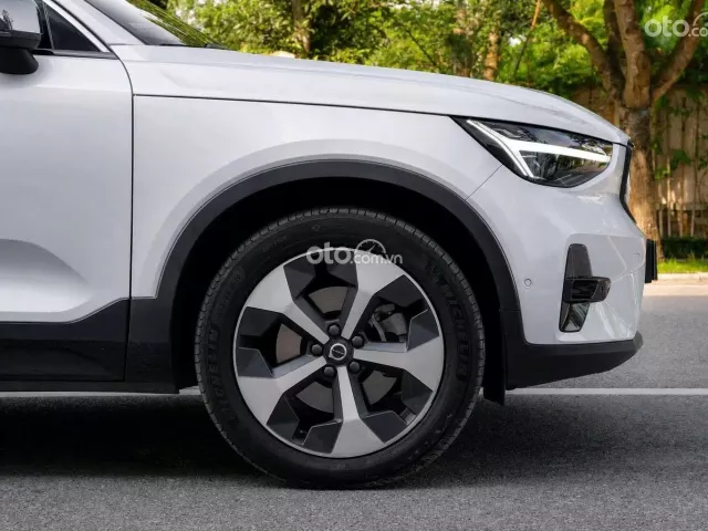 BH/BảoDưỡng Free 2030 - Bản Đủ-Hybrid