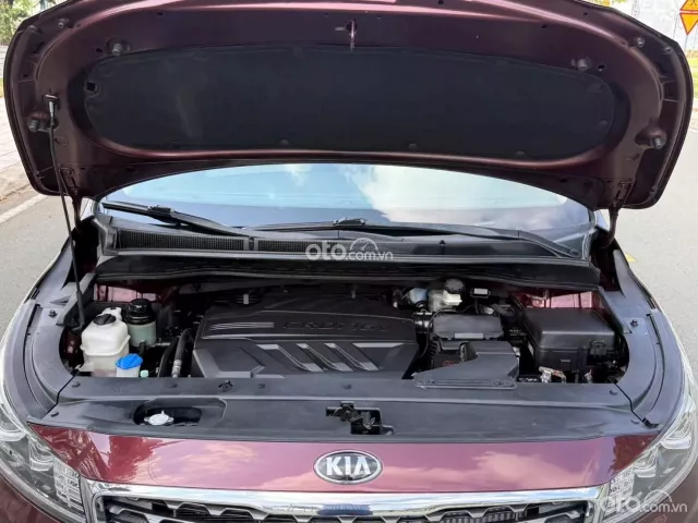 Kia Sedona 2.2 Platinum D 2019 13