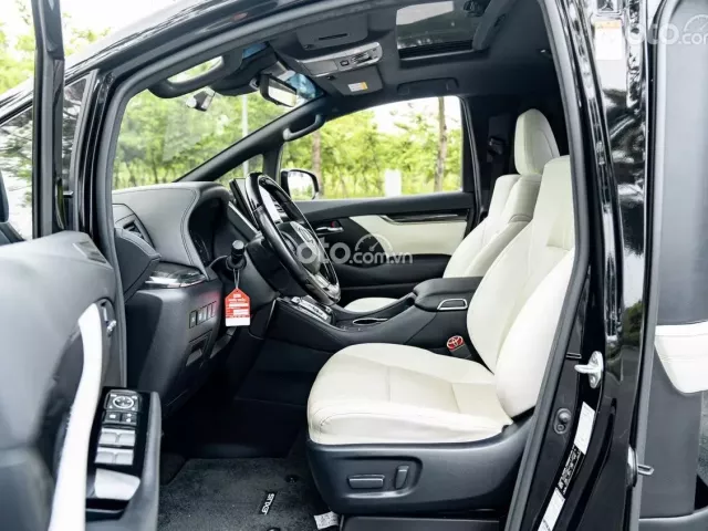 Lexus LM 300h 2020 5