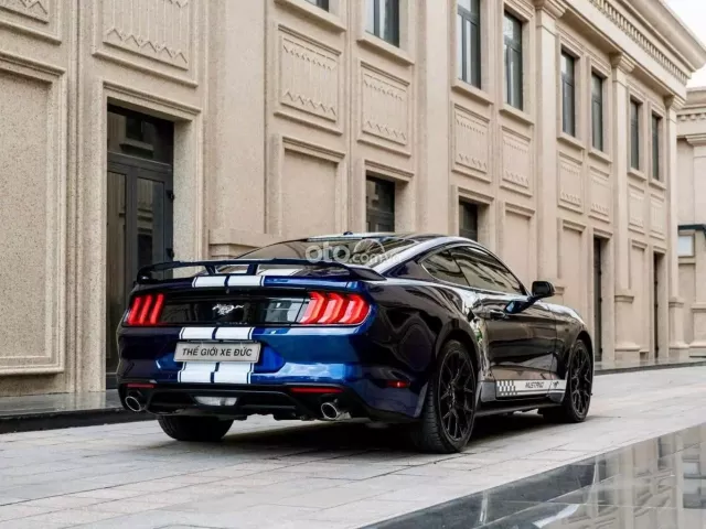 Ford Mustang EcoBoost Premium 2019 14