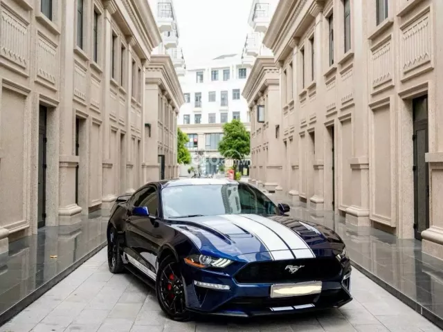 Ford Mustang EcoBoost Premium 2019 13