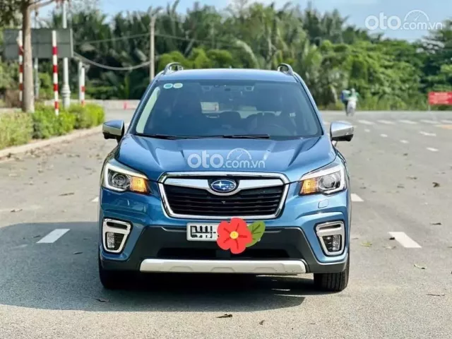 Xe cực mới, hỗ trợ vay cao