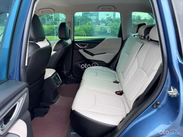 Xe cực mới, hỗ trợ vay cao