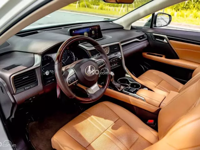 Lexus RX 350 2019 5