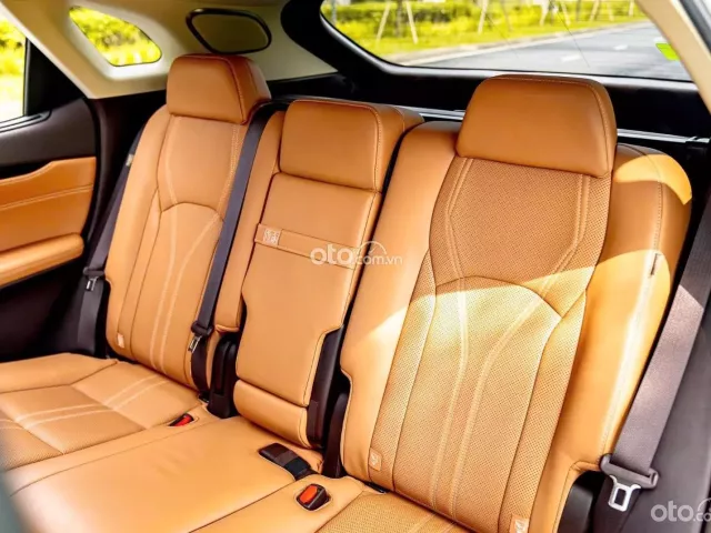 Lexus RX 350 2019 6