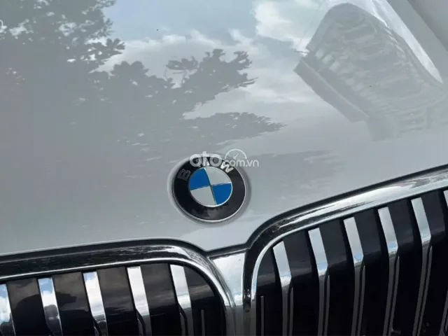 BMW 730Li Pure Excellence 2020 5