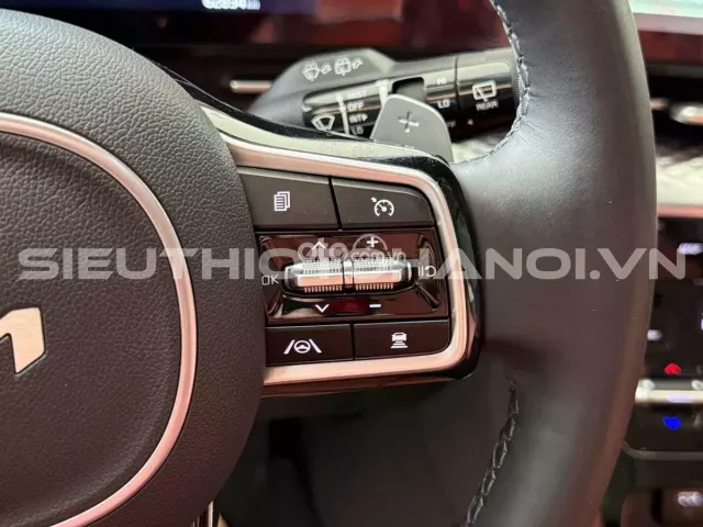 Kia Carnival 2.2D Signature 2022 13