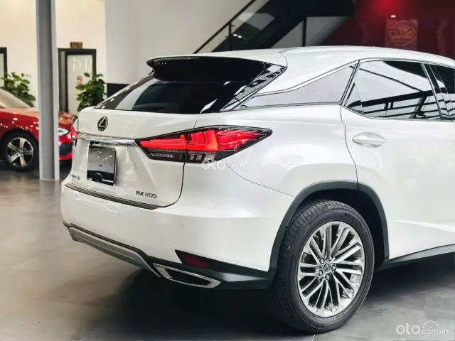 Lexus RX 300 2021 3