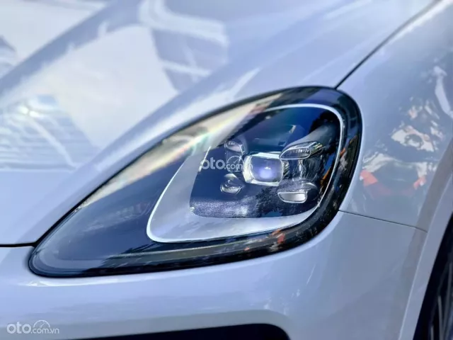Porsche Cayenne Platinum Edition 2022 18