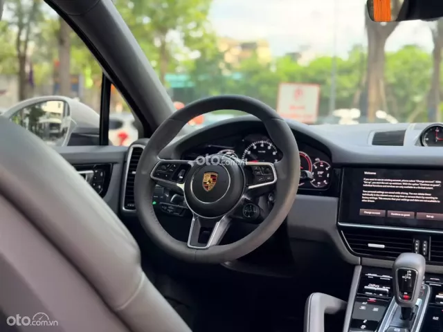 Porsche Cayenne Platinum Edition 2022 7