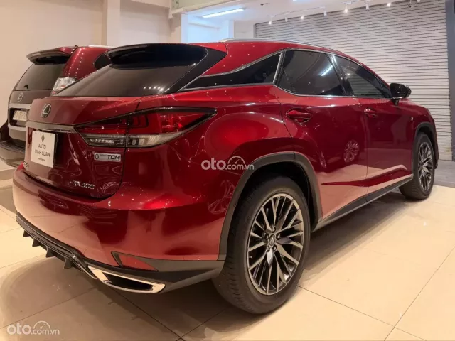 Lexus RX 300 F-Sport 2022 3