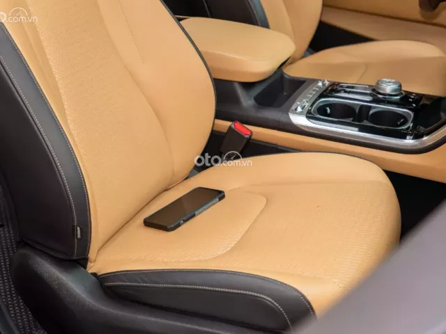 Kia Carnival 2.2D Signature 2021 16