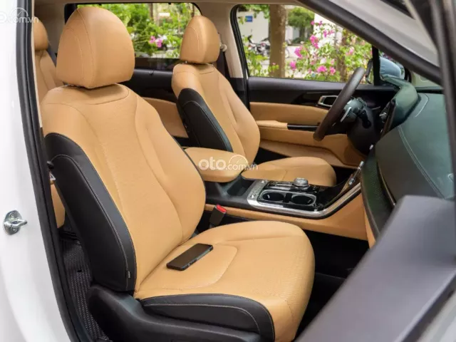 Kia Carnival 2.2D Signature 2021 17