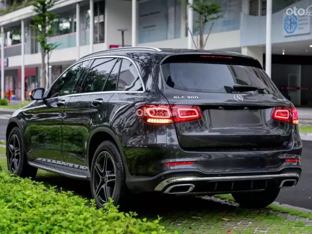 Mercedes-Benz GLC 300 4Matic V1 2022 4