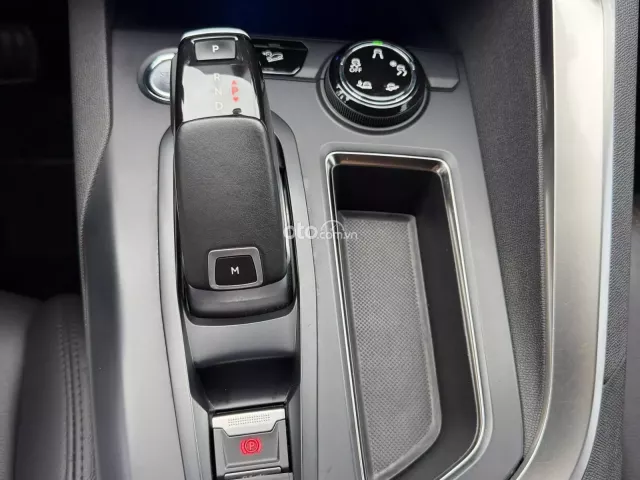 Peugeot 3008 Active 2020 9