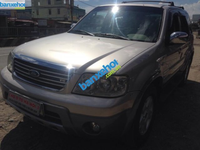 Xe Ford Escape 3.0 V6 Limited 2008