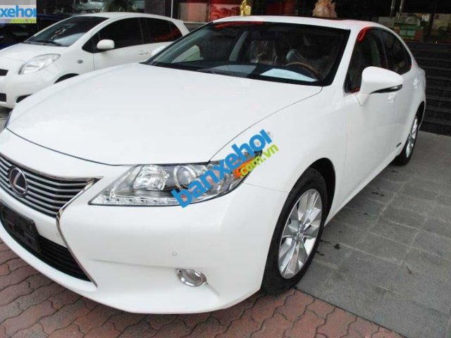 Xe Lexus ES 300h 2012