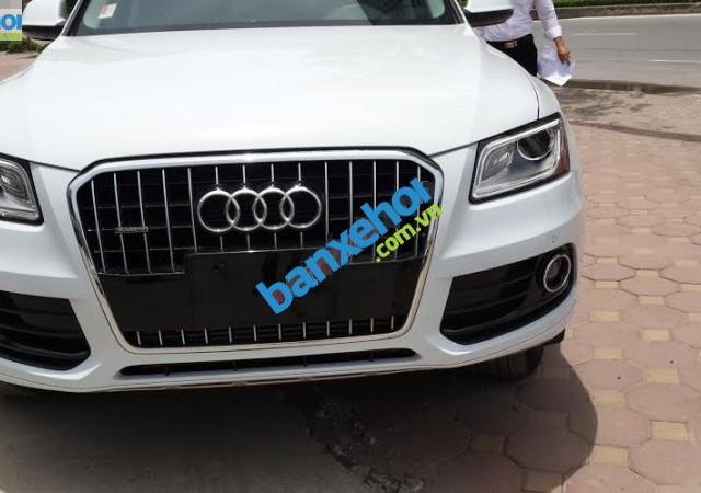 Xe Audi Q5  2014