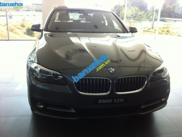 Xe BMW 5 Series 520i 2014