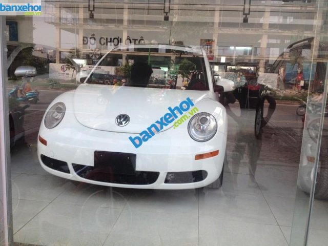 Xe Volkswagen Beetle  2008