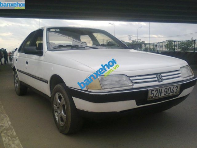 Xe Peugeot 405 GR 1990