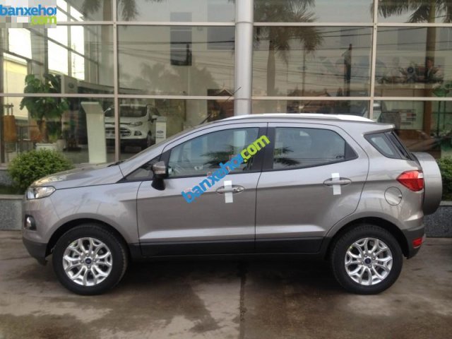 Bán ô tô Ford EcoSport Titanium sản xuất 2017, màu xám - Hỗ trợ đăng ký, đăng kiểm, trả góp, giá rẻ nhất tại Vĩnh Phúc