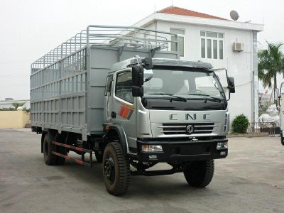 Bằng lái xe hạng C 6