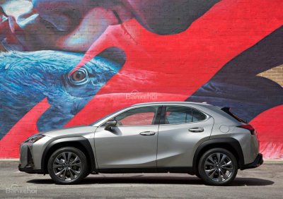 Thân xe Lexus UX 2019 - 2020