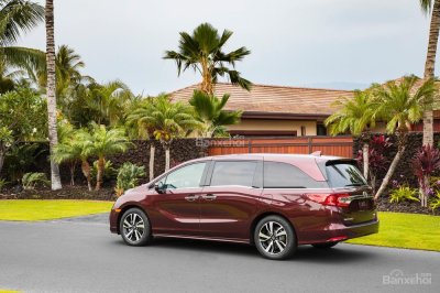 Honda Odyssey 2019 lên kệ với giá 707 triệu - 2