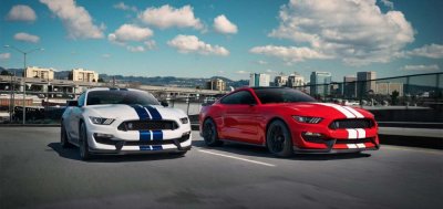 Ford Mustang Shelby GT350 2019 nâng cấp ngoại hình ấn tượng hơn 1.