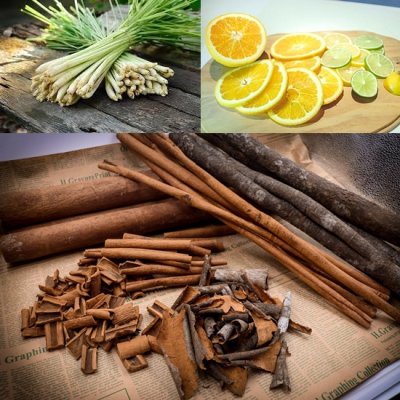 Cách khử mùi hôi của thú cưng trên xe ô tô 4 Cách khử mùi hôi của thú cưng trên xe ô tô 4.