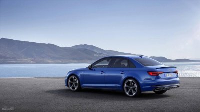 Đuôi xe Audi A4 2019 Đuôi xe Audi A4 2019 z