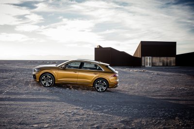 Ảnh chụp Audi Q8 2019