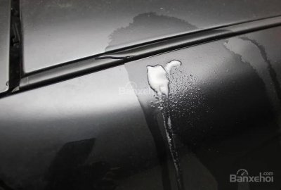 1. Đánh giá tình hình Tổng hợp các cách xử lý vết trứng vỡ trên xe ô tô