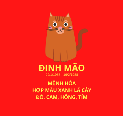 Tuổi Đinh Mão Hợp Phong Thủy Màu Gì?