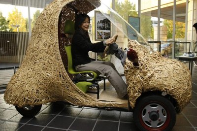 Ngắm ngoại thất xe sang làm bằng ngô và lúa mì 6 Ngắm ngoại thất xe sang làm bằng ngô và lúa mì 6.