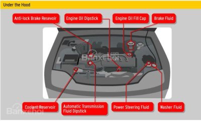 Đảm bảo xe không bị "thiếu nước" Chăm sóc và bảo dưỡng ô tô sau đi chơi ngày lễ - 3c