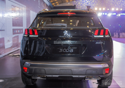 Peugeot 3008 2019 5