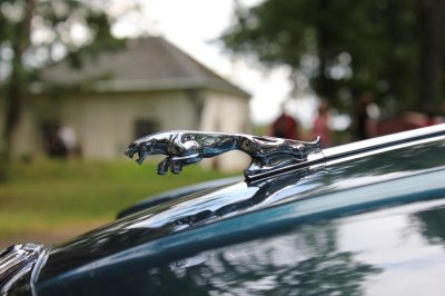 Khám phá 10 logo trên mui xe ấn tượng nhất toàn cầu - Jaguar Leaper.