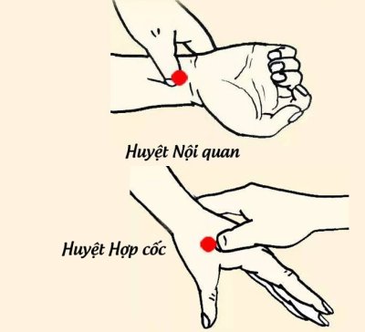 Kinh nghiệm lái xe ô tô để hành khách không bị say - bấm huyệt nội quan để chống say xe Kinh nghiệm lái xe ô tô để hành khách không bị say - bấm huyệt nội quan để chống say xe.