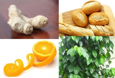 Kinh nghiệm lái xe ô tô để hành khách không bị say - chống say xe bằng gừng, bánh mì Kinh nghiệm lái xe ô tô để hành khách không bị say - chống say xe bằng gừng, bánh mì.