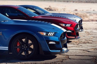 Ford Mustang Shelby GT500 2020 phản ứng tốt trên mọi đường đua